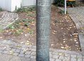 Ansicht Gedenktafel Carl Herz - 1985