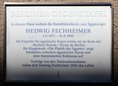 Ansicht Gedenktafel Hedwig Fechheimer - 2015