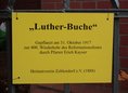 Ansicht Gedenktafel Luther-Buche