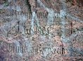 Ansicht Gedenktafel Kronprinzenlinde