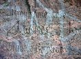 Ansicht Gedenktafel Kronprinzenlinde