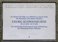 Ansicht Gedenktafel Georg Schweinfurth - 2007