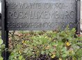 Ansicht Gedenktafel Rosa Luxemburg - 1988