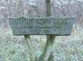 Ansicht Gedenktafel Helmut-Korn-Eiche - 2019