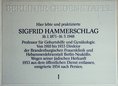 Ansicht Gedenktafel Sigfrid Hammerschlag - 1993
