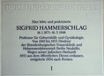 Ansicht Gedenktafel Sigfrid Hammerschlag - 1993