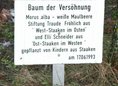 Ansicht Gedenktafel Baum der Versöhnung - 1993