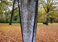 Ansicht Gedenktafel Kriegsopfermahnmal