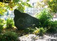 Ansicht Gedenktafel Baum des Jahres - 2000