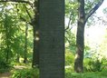 Ansicht Gedenktafel Wiederaufbau des Tiergartens